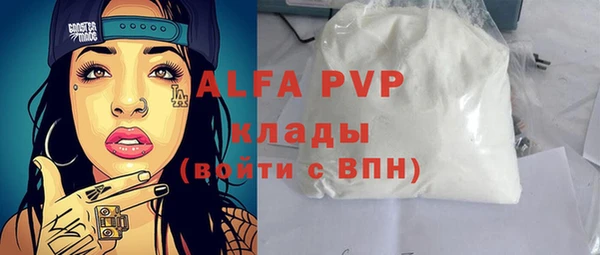 молекула духа Пестово