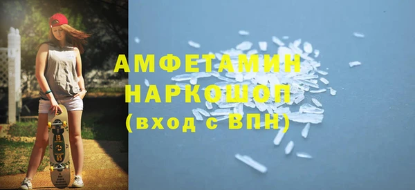 молекула духа Пестово