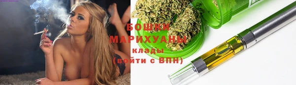 молекула духа Пестово