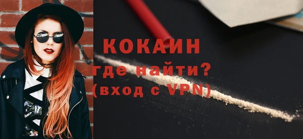 молекула духа Пестово