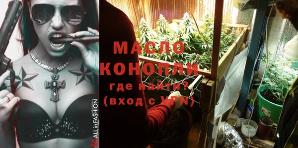 молекула духа Пестово