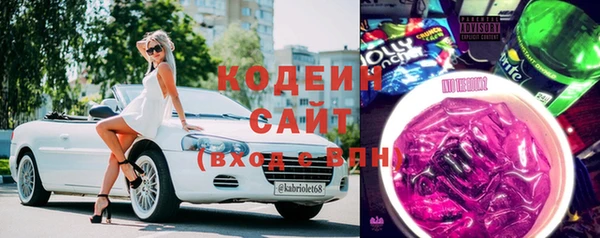 молекула духа Пестово