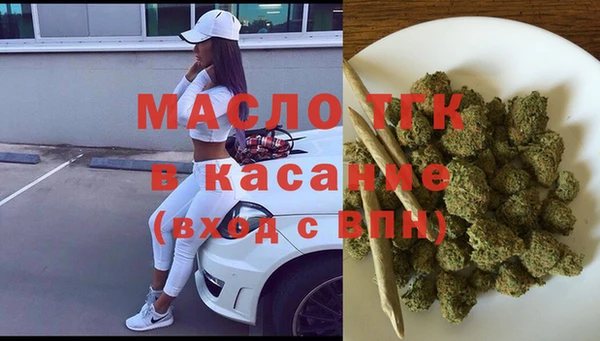 молекула духа Пестово