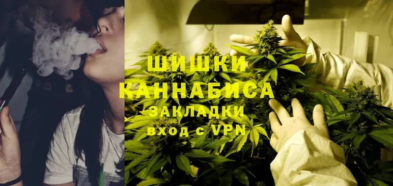 Каннабис Bruce Banner  Новое Девяткино 